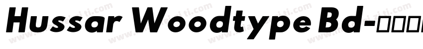 Hussar Woodtype Bd字体转换